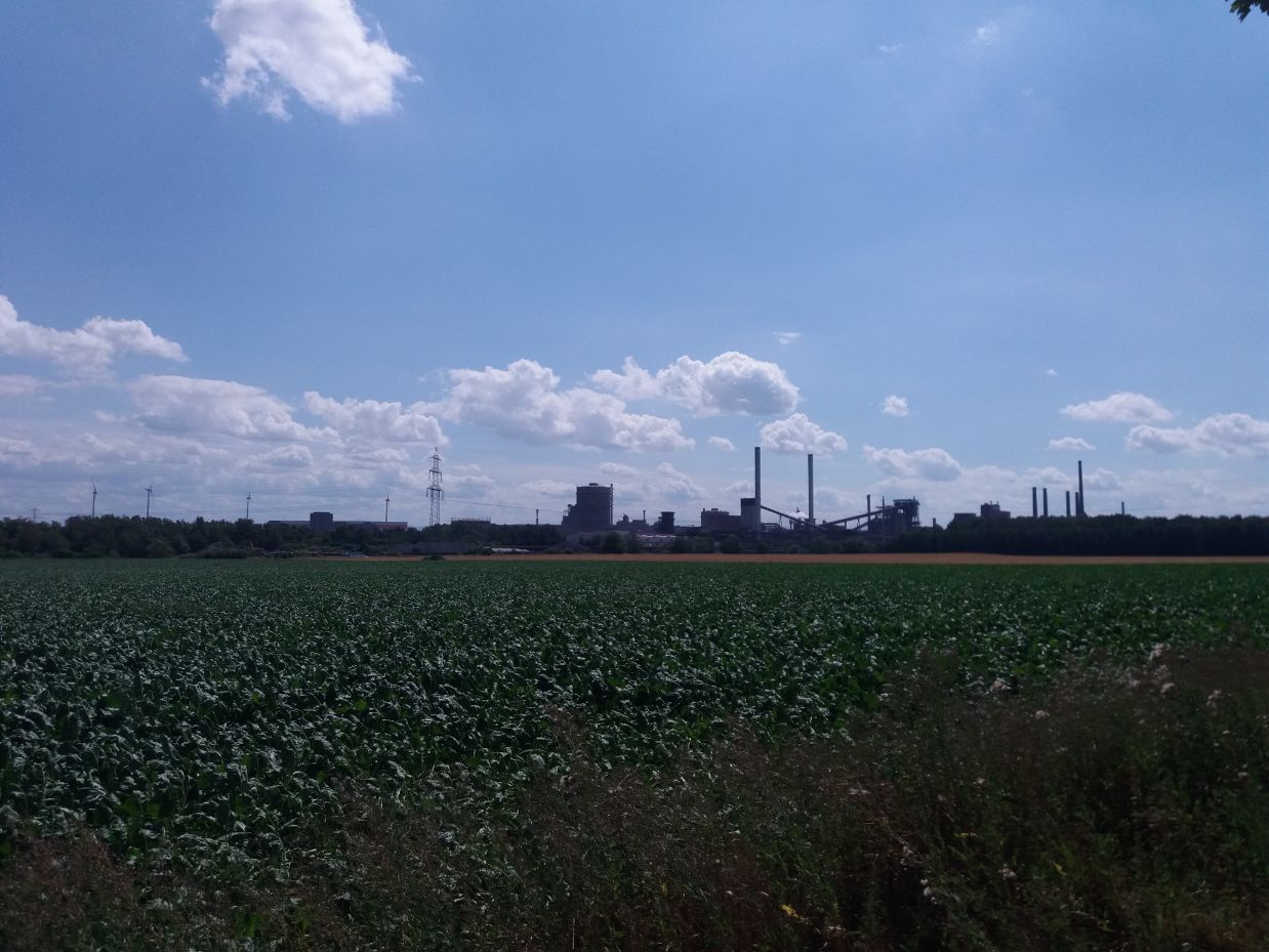 Salzgitter-fabriek Heerte Duitsland